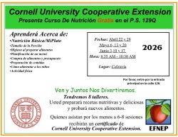 Flyer for Parent Nutrition workshop Spanish